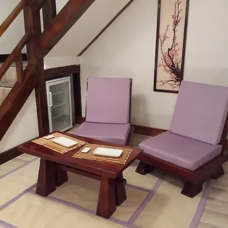 Casa Lily - Japanese Retreat Guest house Sighisoara