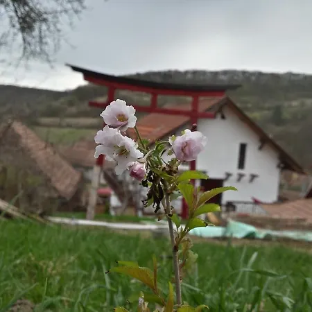Casa Lily - Japanese Retreat Guest house 3*