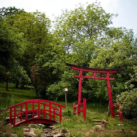 Casa Lily - Japanese Retreat Guest house Sighisoara