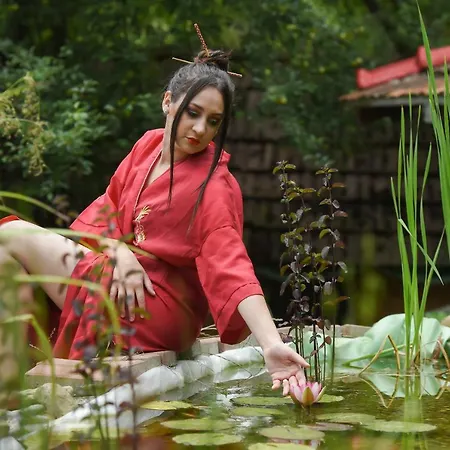 Casa Lily - Japanese Retreat