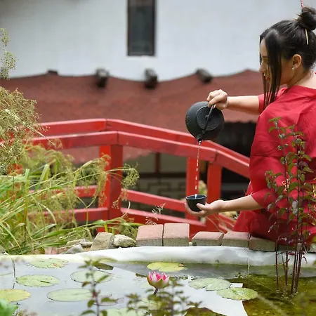 Casa Lily - Japanese Retreat 3* Sighisoara